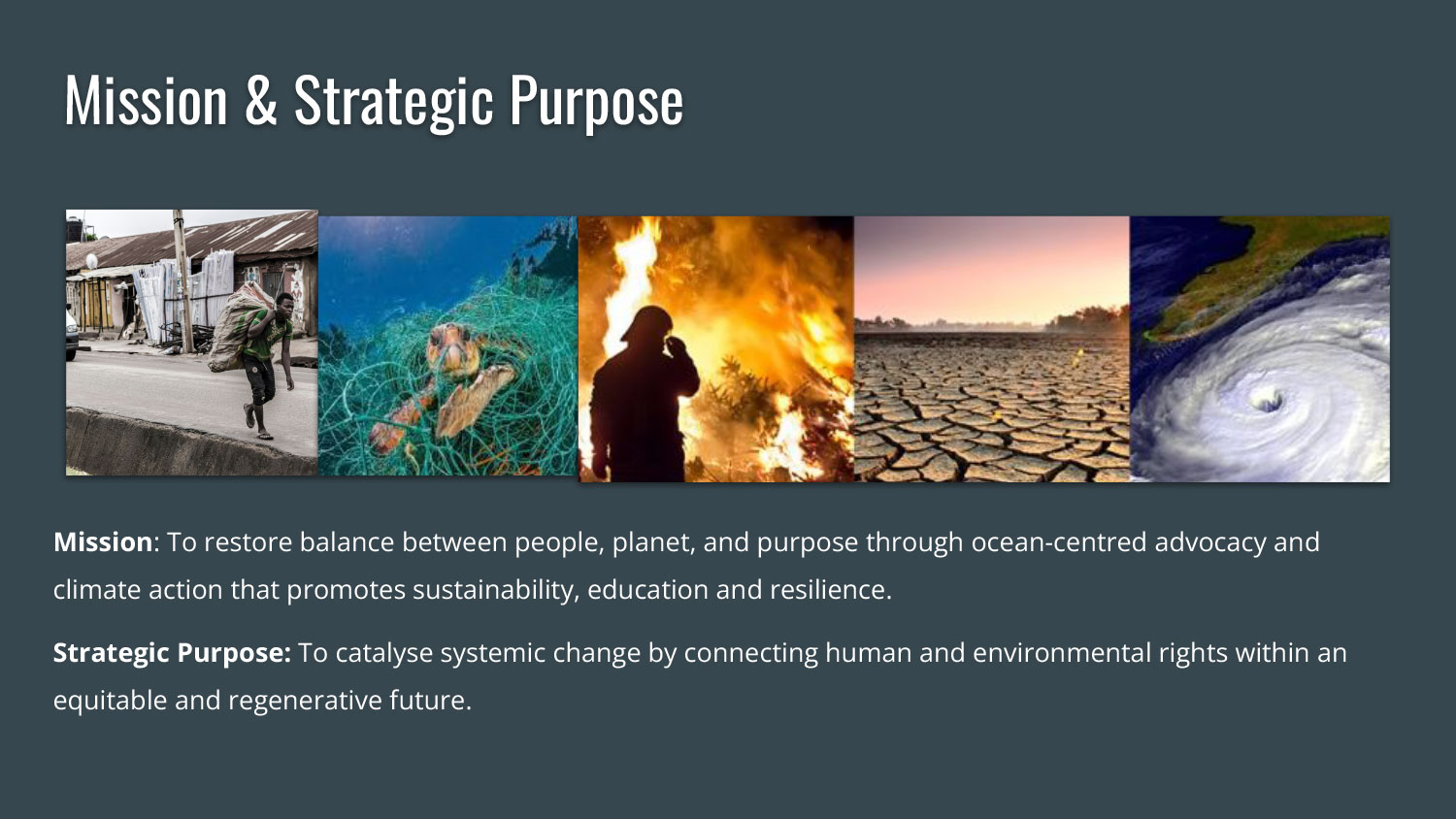 Mission & Strategic Purpose