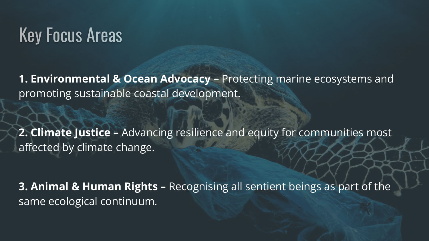 Key Focus Areas