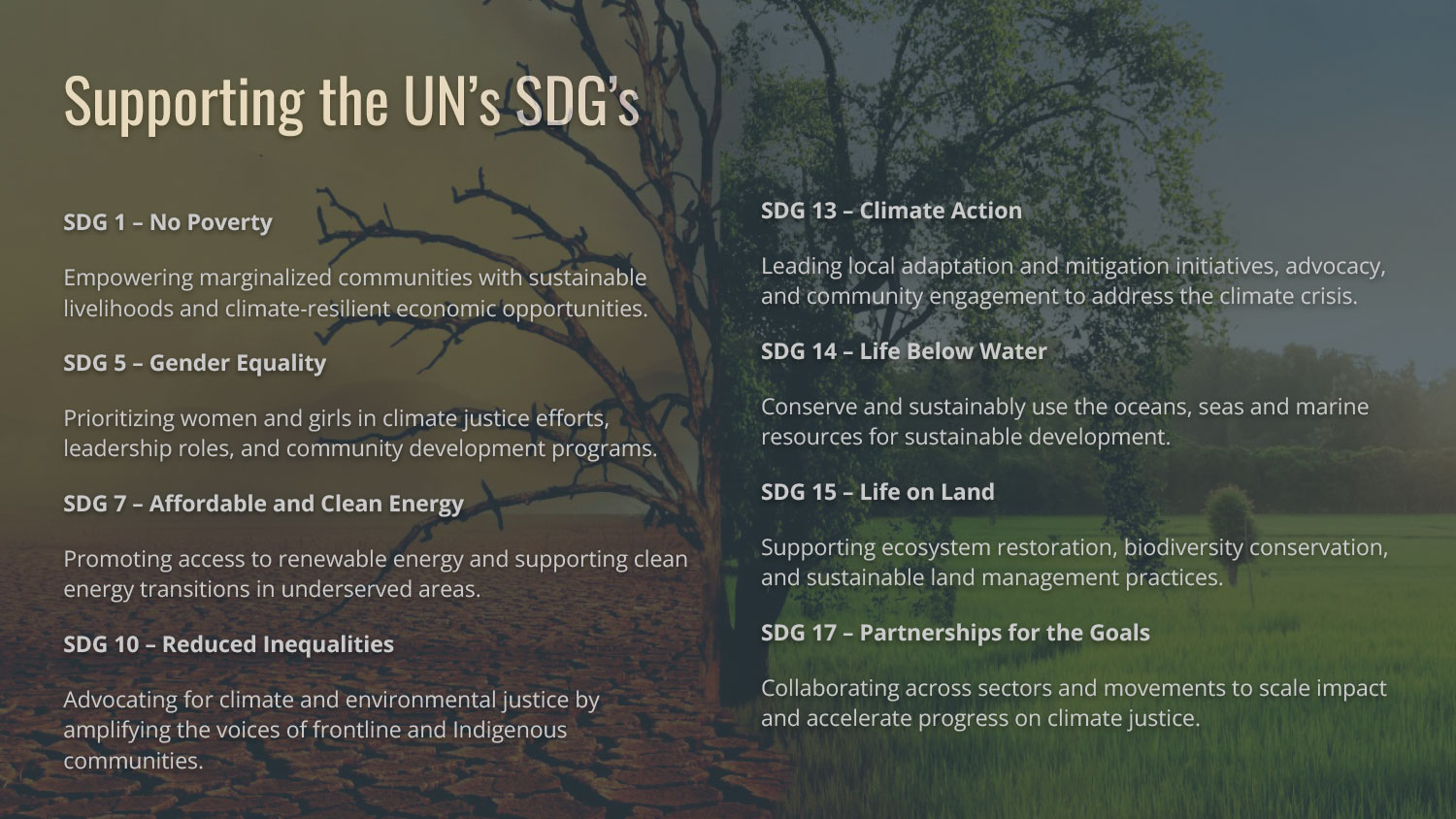 Supporting the UN SDGs